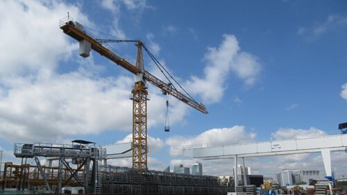crane